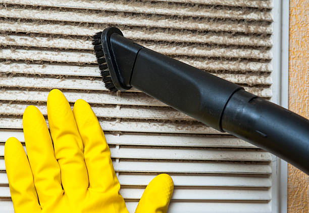 Best Local Air Duct Cleaning Services  in Selden, NY
